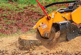Best Tree Preservation Services  in Tehachapi, CA